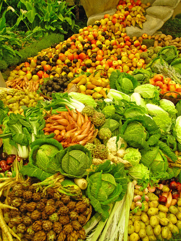nutrition,holistic and eco-living