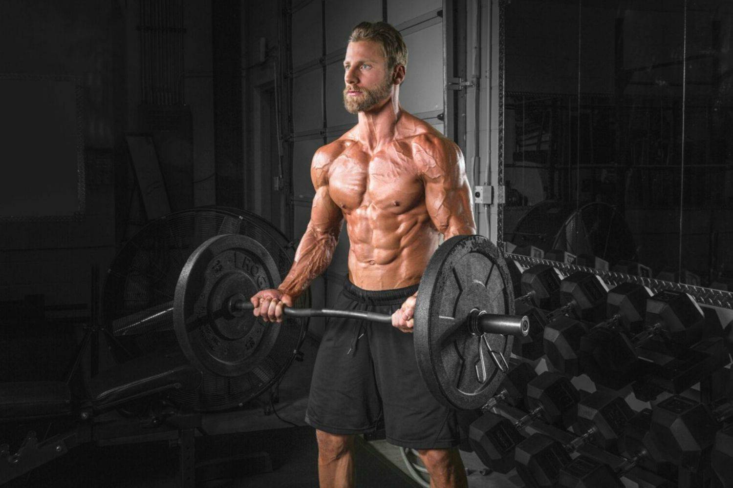 Bodybuilding Shoulder Workout for Mass (5 Exercises) – StrengthLog