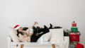 The Ultimate Sunwarrior Holiday Gift Giving Guide