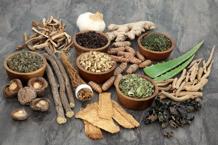 Understanding and Harnessing the Power of Adaptogens