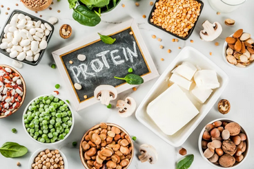 What Is Protein's Function And How Much Do You Need?