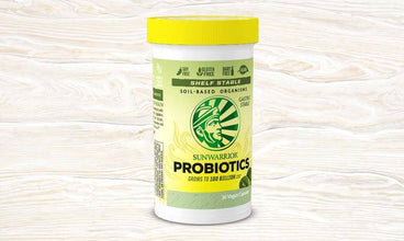 What Are Probiotics, How They Work, And Their Benefits