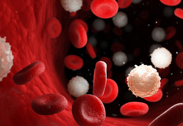 How To Improve Your White Blood Cells Naturally