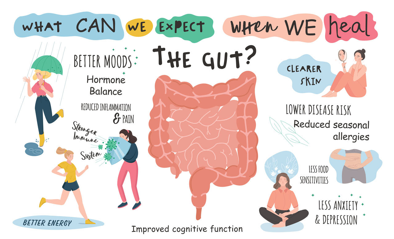 The Gut Brain Connection How Gut Health Affects Your Mood