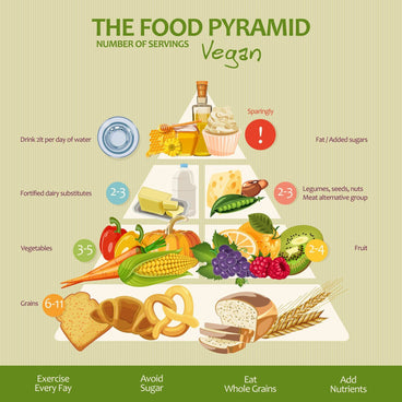 The Food Pyramid: Is It Still Relevant?