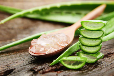 10  Health Benefits of Aloe Vera-The Miracle Plant