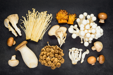 Boost Your Immune System with Functional Mushroom Superfoods!