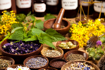 Build Up Your Natural Medicine Cabinet