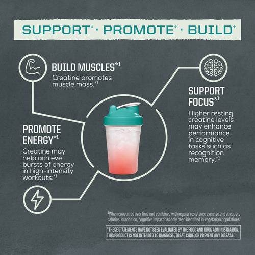 Shaker cup with creatine benefits illustrating muscle building, energy promotion, and focus support