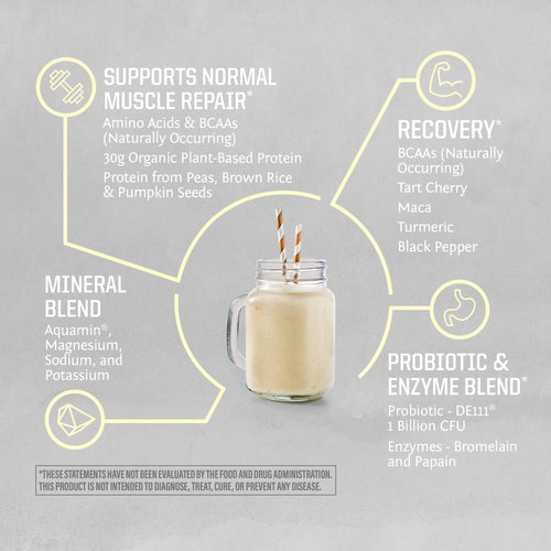 Active Protein 1kg Vanilla Benefits