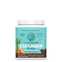 Collagen Building Protein Peptides Special Plant-based Protein Sunwarrior Chocolate Fudge 20 Servings 