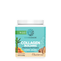 Collagen Building Protein Peptides Special Plant-based Protein Sunwarrior Churro 20 Servings 