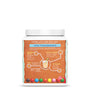 Organic Warrior Blend Gingerbread Protein  Sunwarrior   